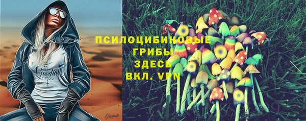 хмурый Вязьма