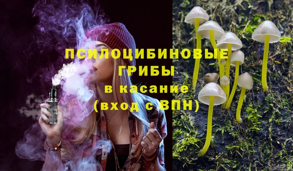 молекула духа Волоколамск